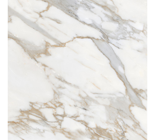 Calacatta Roma Керамогранит 60х60 Матовый
