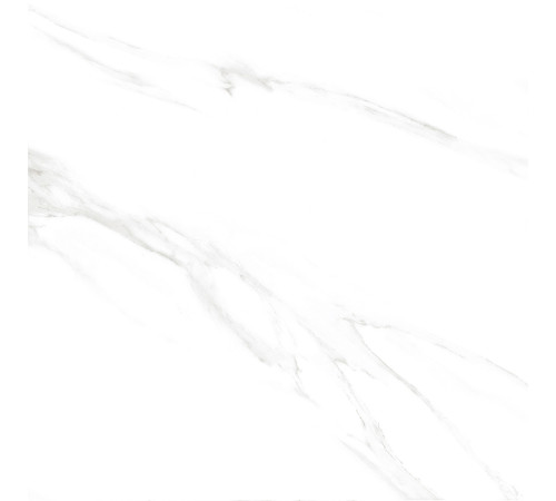 Calacatta Genius Керамогранит белый 60х60 Полированный
