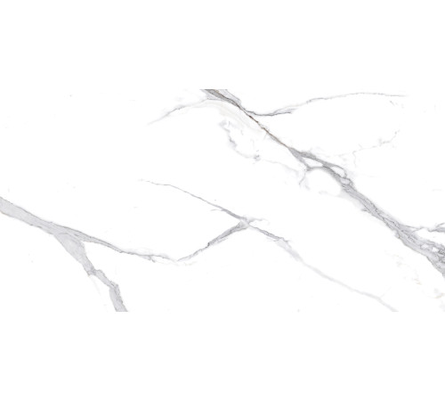 Calacatta Splendid Silver Керамогранит белый 60х120 Матовый