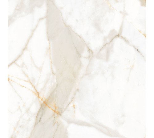 Calacatta Superior Керамогранит белый 60х60 Полированный