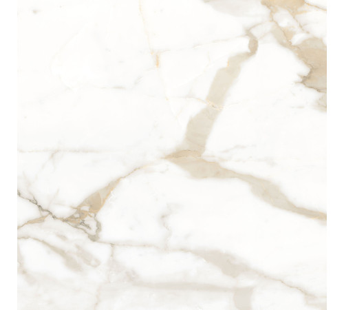 Calacatta Superior Керамогранит белый 60х60 Матовый