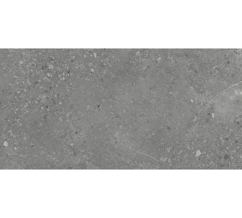 Nelson Керамогранит тёмно-серый K948160LPR01LPER 59,7х119,7 лаппатированный