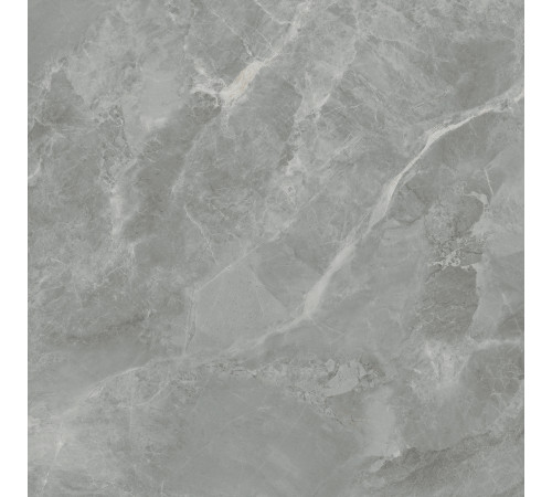 Regnum Grigio Керамогранит серый CR6060G0401R 59,5х59,5 матовый