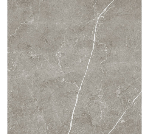 Scandy Керамогранит серый обрезной SG645220R 59,5х59,5