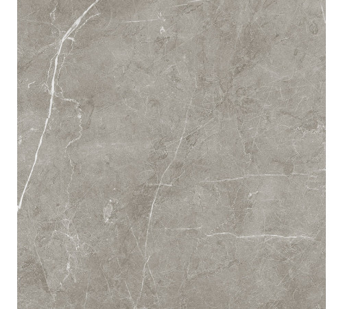 Scandy Керамогранит серый обрезной SG645220R 59,5х59,5