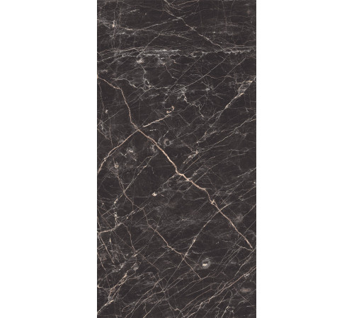 Black Arkadia Керамогранит черный полированный 60х120