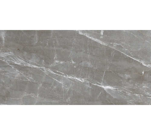 Patara Grigio Керамогранит I Серый 60x120 Полированный