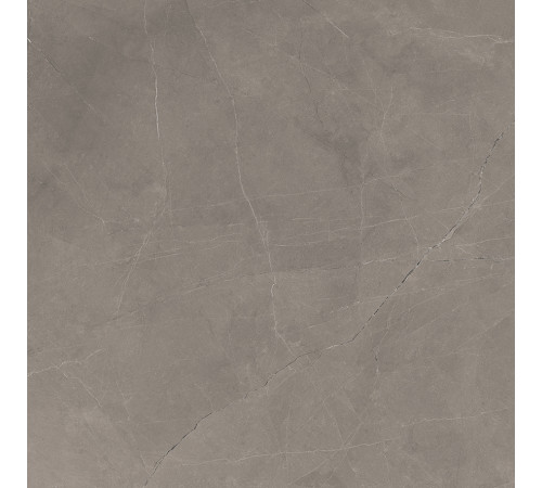 Splash Grey Керамогранит серый 60х60 Сатинированный Карвинг