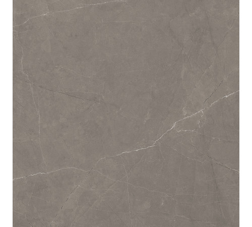 Splash Grey Керамогранит серый 60х60 Сатинированный Карвинг