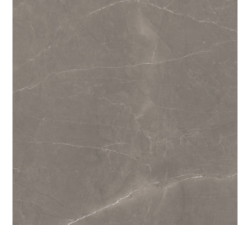 Splash Grey Керамогранит серый 60х60 Сатинированный Карвинг