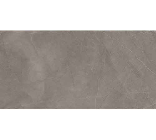 Splash Grey Керамогранит серый 60х120 Сатинированный Карвинг