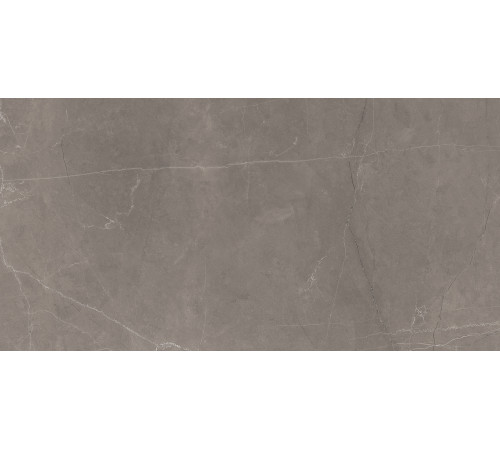 Splash Grey Керамогранит серый 60х120 Сатинированный Карвинг