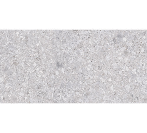 Matrix Керамогранит светло-серый K952681R0001LPER 59,7х119,7