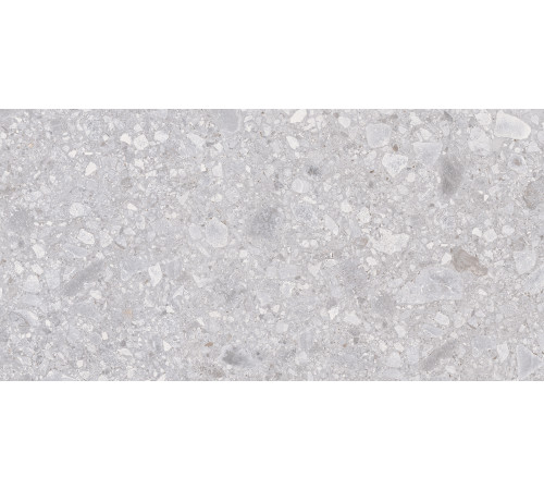 Matrix Керамогранит светло-серый K952681R0001LPER 59,7х119,7