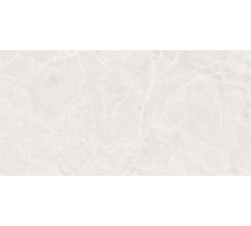 Mramor Princess White Керамогранит светло-серый 60х120 Полированный