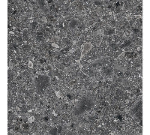 Ceppo Nero PRO Керамогранит графитовый 60х60 матовый структурный R12Soft STR