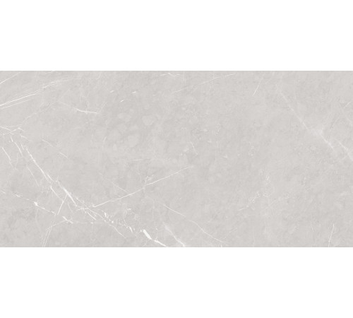 Pietra Blanco Керамогранит светло-серый 60х120 матовый карвинг