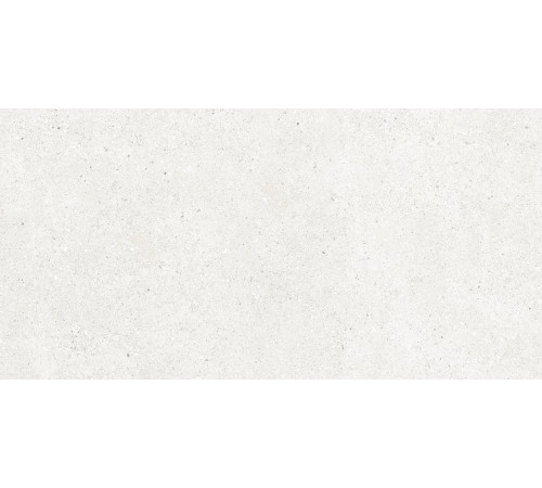 Perla Bianco Керамогранит светло-серый CR6012G0481R 59,5х119,1 матовый