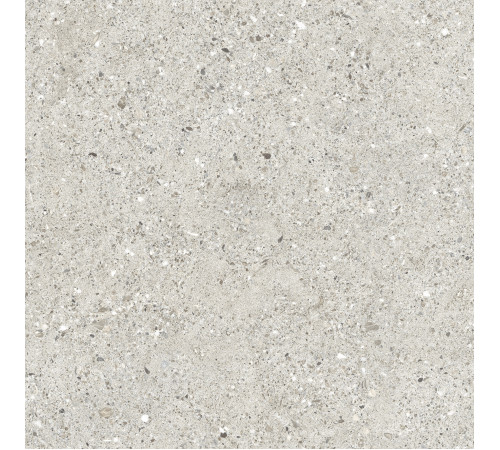 Granito Grigio Керамогранит серый CR6060G0461R 59,5х59,5 матовый