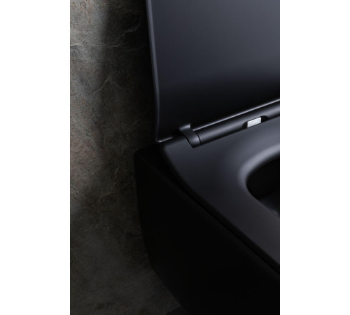 Чаша подвесного унитаза Allen Brau Liberty 4.33007.31 черный матовый