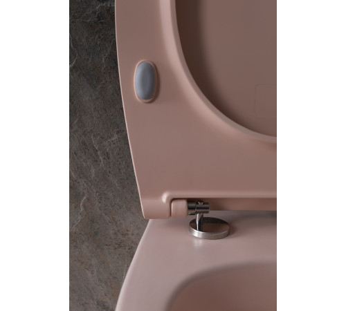 Чаша подвесного унитаза Allen Brau Fantasy 4.11004.SM розовый