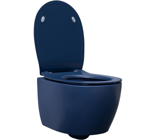 Чаша подвесного унитаза Allen Brau Fantasy 4.11004.ID индиго