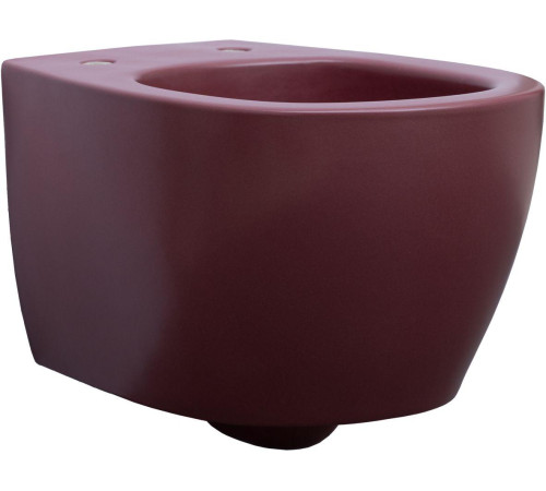 Чаша подвесного унитаза Allen Brau Fantasy 4.11004.BD бордо