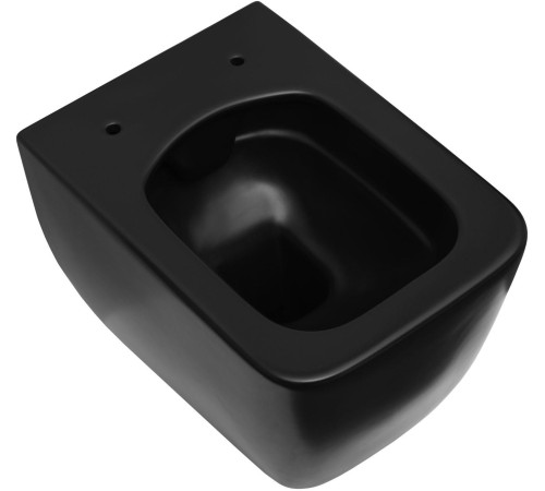 Чаша подвесного унитаза Allen Brau Liberty 4.33007.31 черный матовый