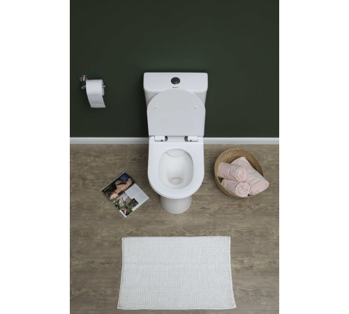 Чаша напольного унитаза Aquanet Rimless Roll-C CL-12249B