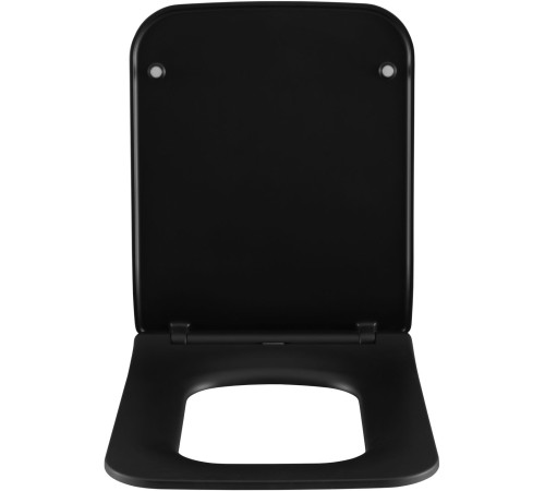 Сиденье для унитаза Allen Brau Liberty 4.33008.31 черный матовый
