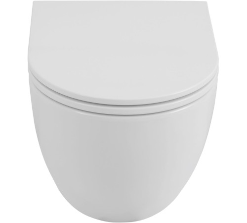 Чаша подвесного унитаза Allen Brau Priority Tornado 4.31009.20 белый глянец