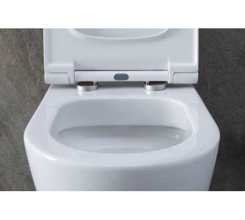 Унитаз с инсталляцией Allen Brau Priority 00301296/8.9466.0.000.000.1 белый глянец