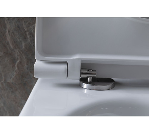 Унитаз с инсталляцией Allen Brau Reality 4.32006.20/8.9466.0.000.000.1 белый глянец