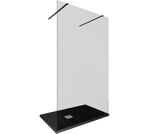 Душевая перегородка Allen Brau Infinity 2 120 3.21046.BBA.T черный браш