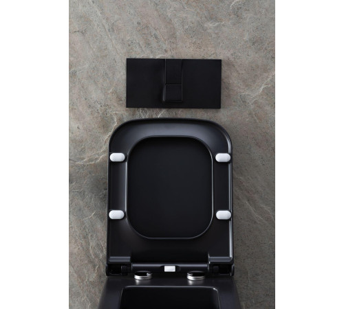 Чаша подвесного унитаза Allen Brau Infinity 4.21011.31 черный матовый