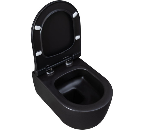 Чаша подвесного унитаза Allen Brau Priority 4.31002.31 черный матовый