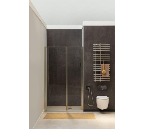 Душевая дверь Allen Brau Priority 120 3.31008.BA серебро браш