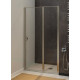 Душевая дверь Allen Brau Priority 100 3.31005.BA серебро браш