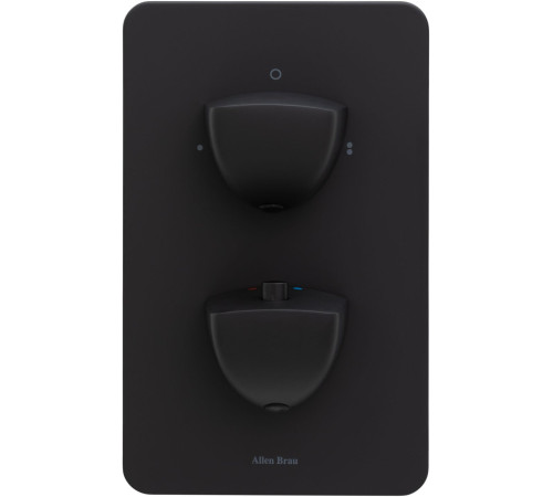 Смеситель для ванны Allen Brau Infinity 5.21216-31 (с внутренней частью, 2 выхода) черный матовый