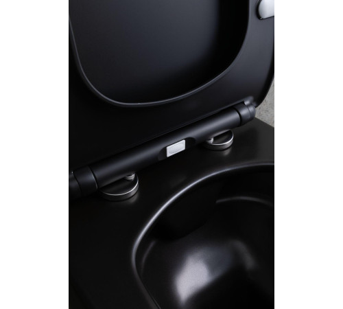 Чаша подвесного унитаза Allen Brau Liberty 4.33007.31 черный матовый