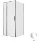 Душевой уголок Allen Brau Priority 90x90 3.31025.00 + 3.31043.00 хром