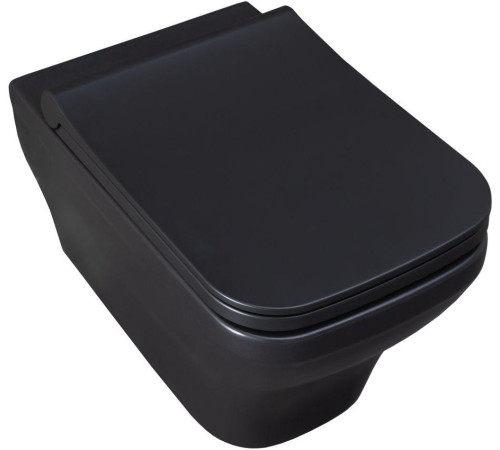 Чаша подвесного унитаза Allen Brau Infinity 4.21011.31 черный матовый