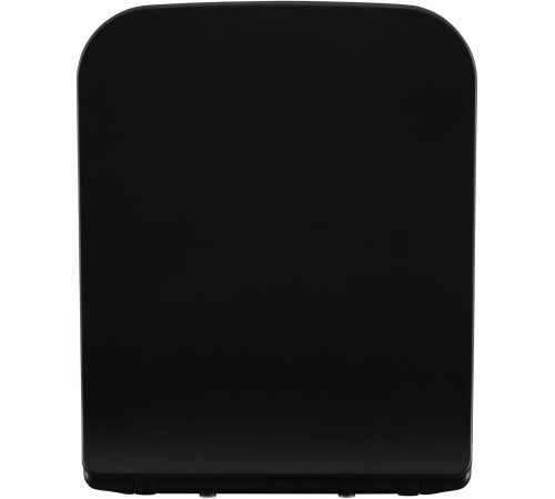 Сиденье для унитаза Allen Brau Liberty 4.33008.31 черный матовый