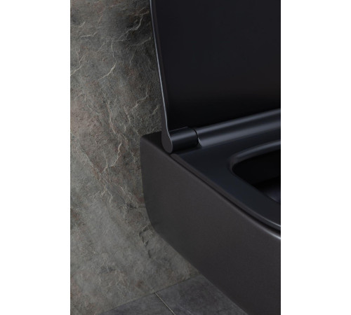 Чаша подвесного унитаза Allen Brau Priority 4.31001.31 черный матовый