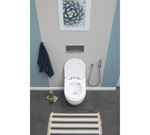 Унитаз подвесной Aquanet Rimless Glide-W CL-11042