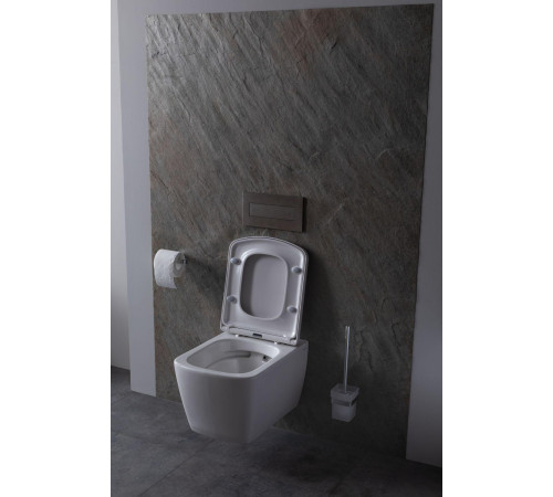 Крышка-сиденье для унитаза Allen Brau Liberty 4.33006.20 белый глянец