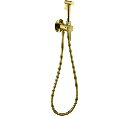 Смеситель с гигиеническим душем Allen Brau Priority 5.31A29-GB (с внутренней частью) золото