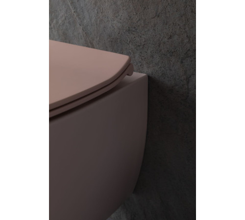 Чаша подвесного унитаза Allen Brau Fantasy 4.11004.SM розовый