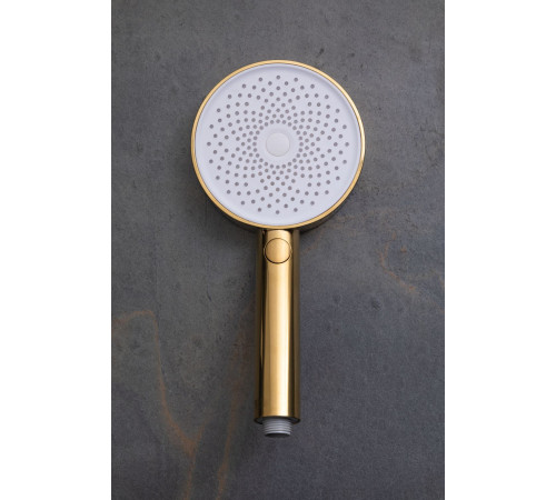 Душевая лейка Allen Brau Priority 5.31B20-GB золото