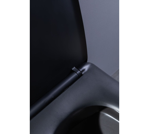 Унитаз подвесной Aquanet Rimless Tavr-W BL-103N-WHT black черный матовый